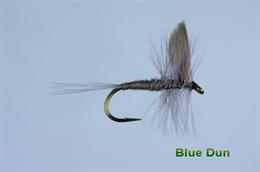 Blue Dun